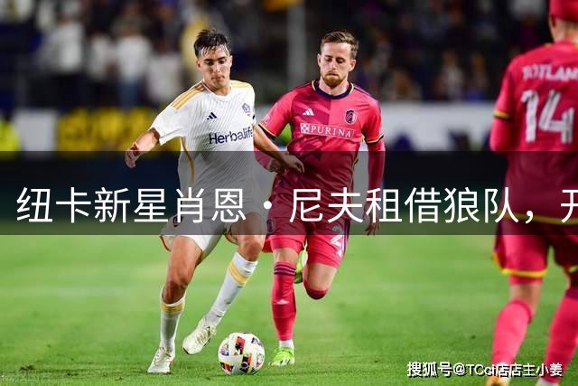 纽卡新星肖恩·尼夫租借狼队，开启为期一年英超征程